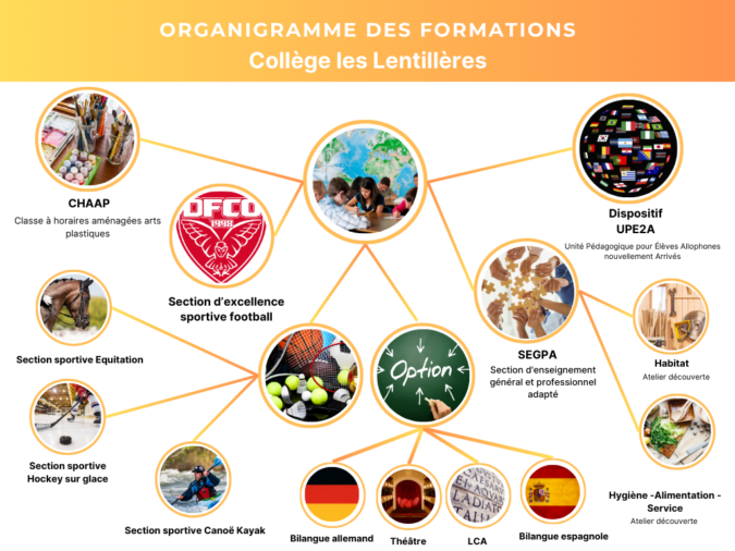 Organigramme formations collège Les Lentillères Dijon.png